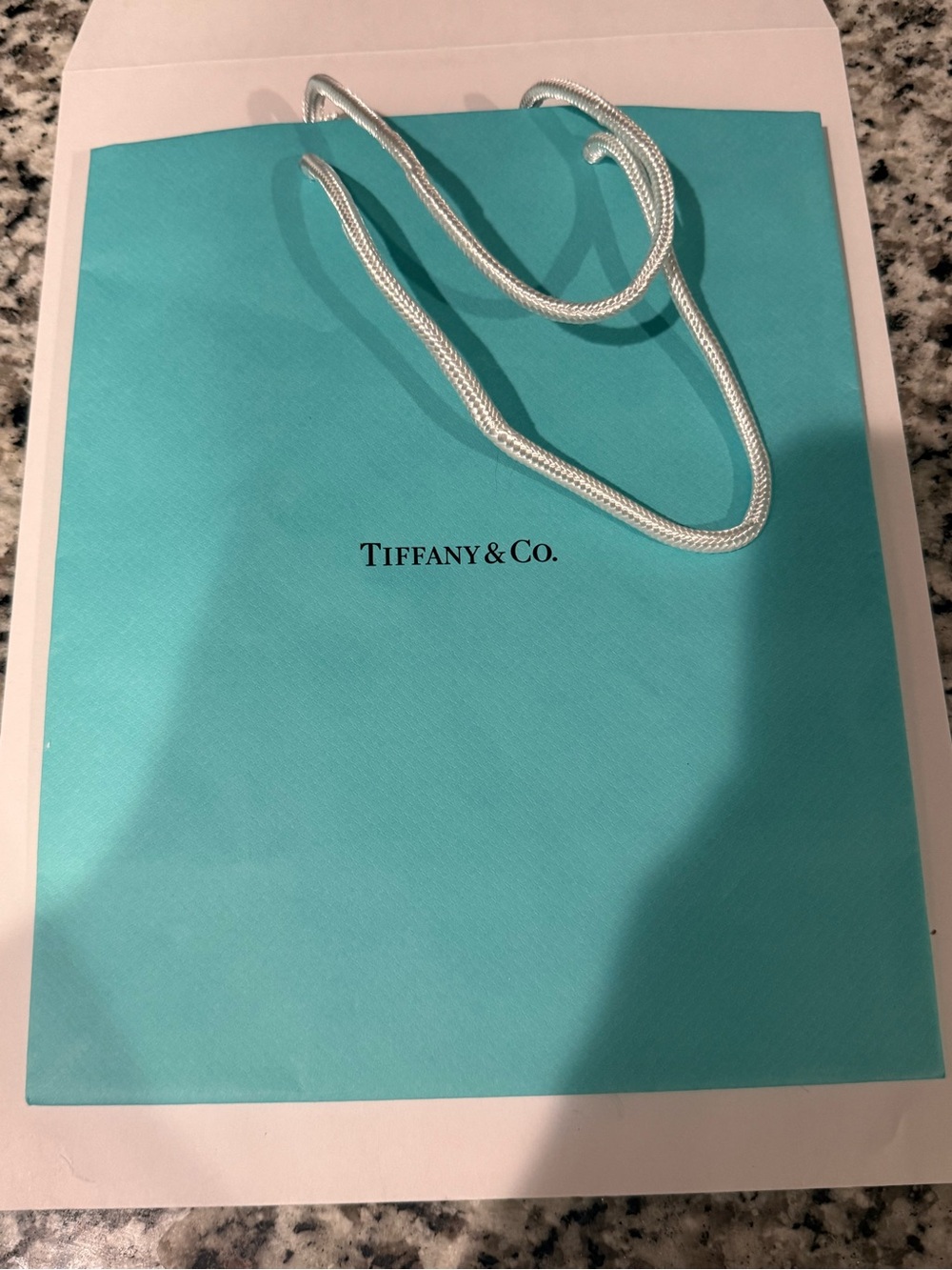 Tiffany & Co. Blue Gift Bag